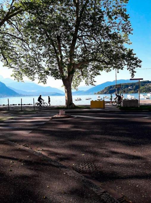 55 M²/ Chez Lorette/ 250M Lake/ Private Parking Annecy Luaran gambar